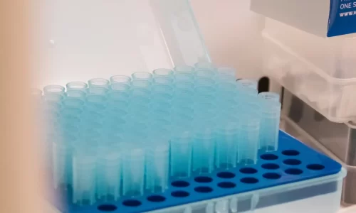 Mitos más comunes sobre la fertilidad