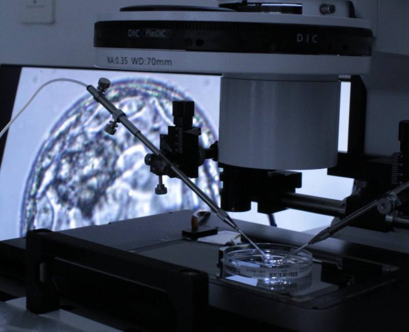 signal-2025-11-03-112937_011