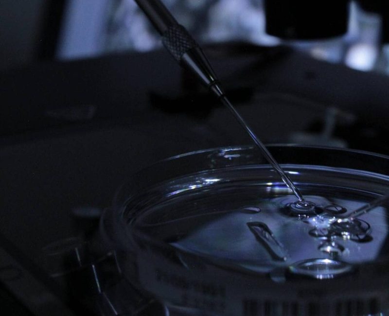 signal-2025-11-03-112943_008